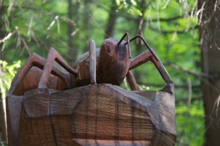 Ostallgu: Ziegelwies (Fssen)