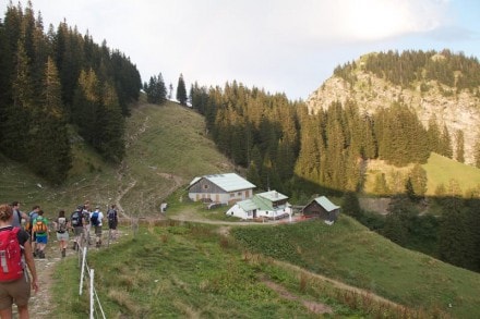 Oberallgäu: Hirsch Alpe (Oberjoch)