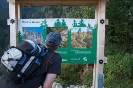 Oberallgäu: Oberjoch Aussichtsplattform (Oberjoch)