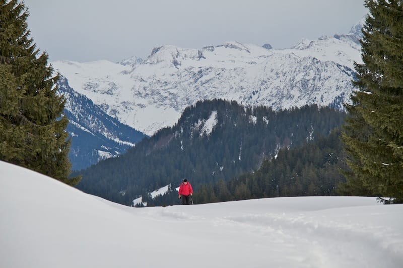 Piesenkopf<br />(Rohrmoostal - Oberallgäu / 2011)