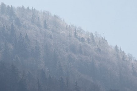 Oberallgäu: Falkenstein (Rottachberg)