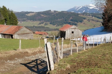 Oberallgäu: Alpe Hinterberg (Rottachberg)