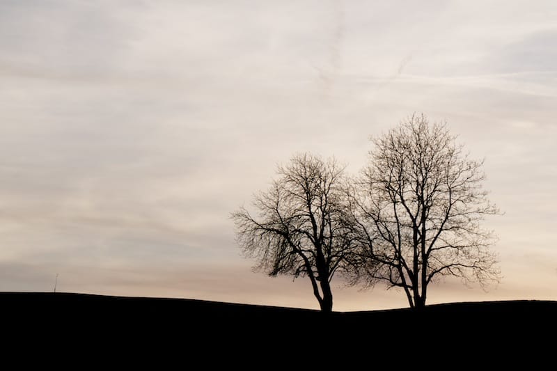 Illersteilwand, Ruine Kalden, Hängebrücke zum Sachsenrieder Weiher (Altursried - Oberallgäu / 2011)