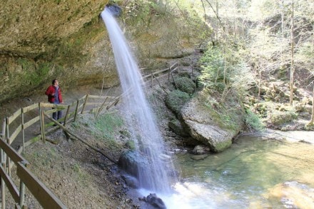 Westallgäu:  (Scheidegg)