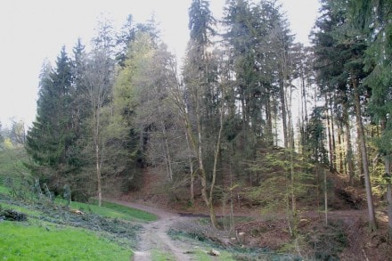 Westallgäu: Enschenstein (Weiler-Simmerberg)