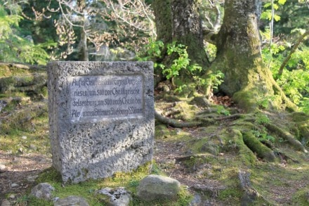 Westallgäu: Enschenstein (Weiler-Simmerberg)