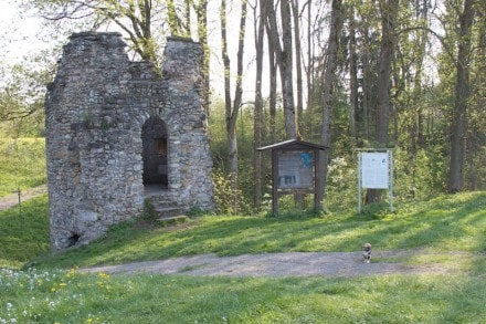 Oberallgu: Ruine Kalden (Altursried)