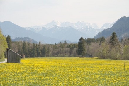 Ostallgäu: Vom Manzengrat Waldweg zur Burg Falkenstein und zur Mariengrotte (Pfronten)