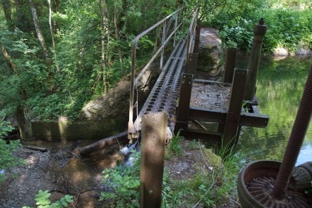 Oberallgäu: Entlang des Altusrieder Naturlehrpfad (Altursried)