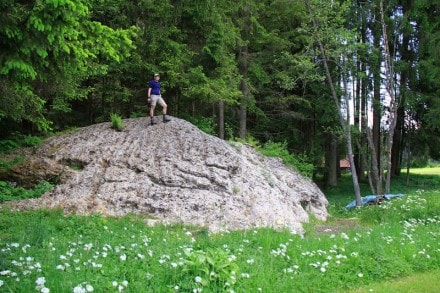 Oberallgäu: Morlauchstein (Betzigau)