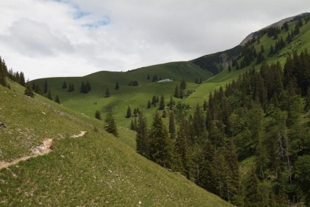 Oberallgäu: Zipfles Alm (Hinterstein)