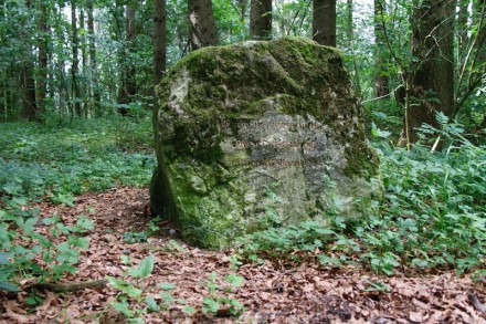Oberallgu: Obere Baufhof der Burg Wolkenberg (Betzigau)