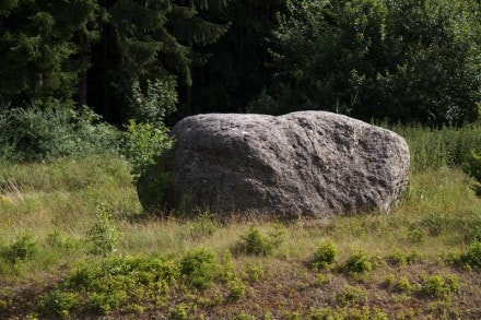 Oberallgäu: Findling (Dietmannsried)