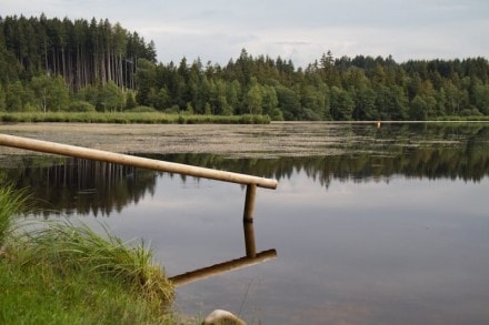 Oberallgäu: Notzenweiher (Betzigau)