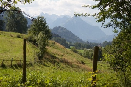 Von Schöllang bei Oberstdorf auf den Entschenkopf