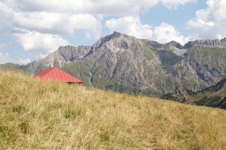 Oberallgäu: Falken-Alpe (1697m) (Oberstdorf)