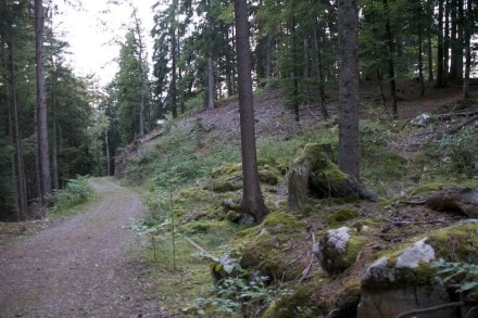 Oberallgäu: Ochsenberg (Oberstdorf)