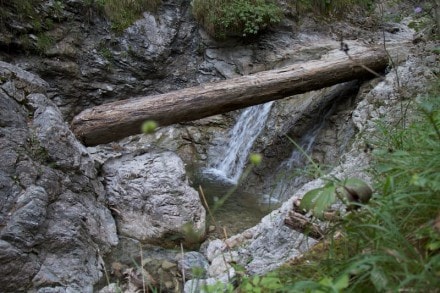 Oberallgäu: Hirschbachtobel (Bad Hindelang)