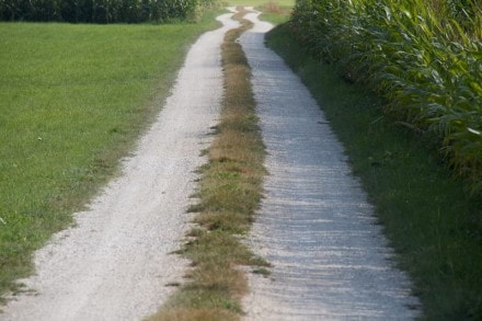 Altmhltal:  (Solnhofen)