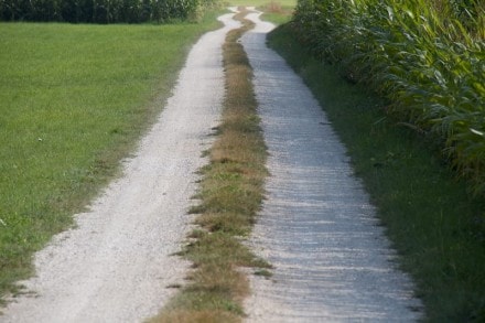 Altmühltal:  (Solnhofen)