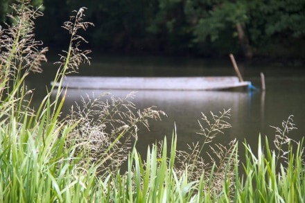 Altmhltal:  (Treuchtlingen)