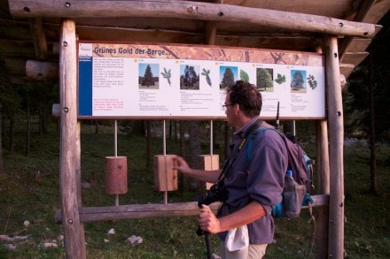 Oberallgäu: Seealpeweg (Oberstdorf)