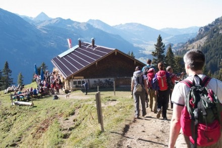 Tannheimer Tal: Schneetaler Alm (Nesselwängle)