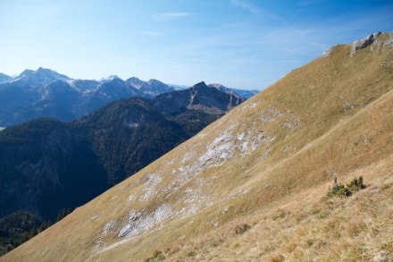 Tannheimer Tal: Von Enge im Tannheimer Tal aus, auf den Aggenstein (Tannheim)