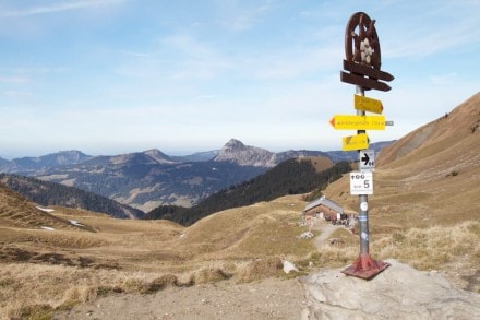 Tannheimer Tal: Grappenfeld Jausenstation  (Tannheim)