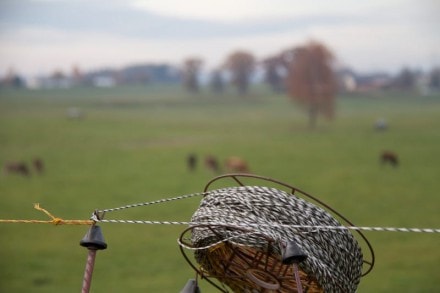 Oberallgäu: Tour (Kempten)