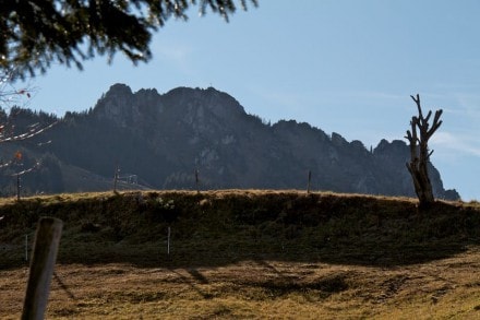 Tirol: Sorgschrofen (Jungholz)