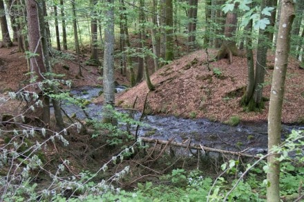 Oberallgäu: Wasserfall Rotfischbach  (Obermaiselstein)