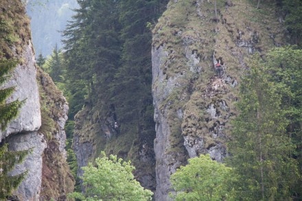 Oberallgäu: Hirschsprung (Obermaiselstein)