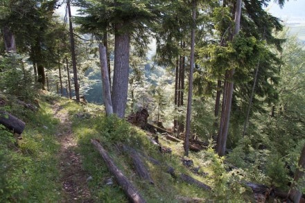 Oberallgäu: Hermannstein (Obermaiselstein)