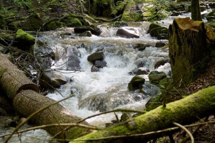 Oberallgäu: Niedersonthofen Tobelweg (Niedersonthofen)