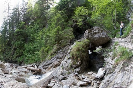 Oberallgäu:  (Bad Hindelang)