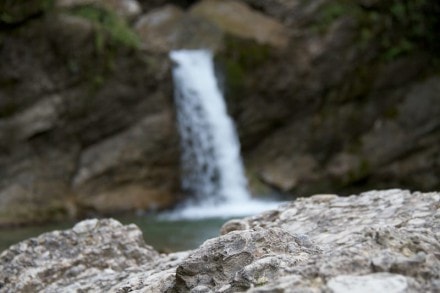 Oberallgäu:  (Gunzesried)