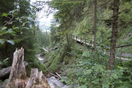 Oberallgu: Alpspitze Tobelweg (Nesselwang)