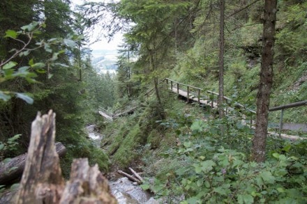 Oberallgäu: Alpspitze Tobelweg (Nesselwang)