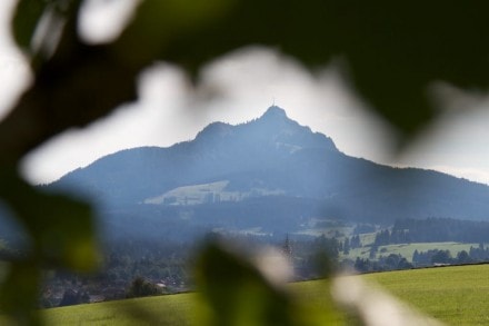 Oberallgäu:  (Wertach)