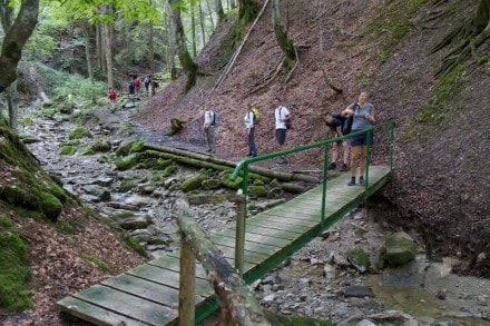 Oberallgäu: Schiessbachtobel (Wertach)