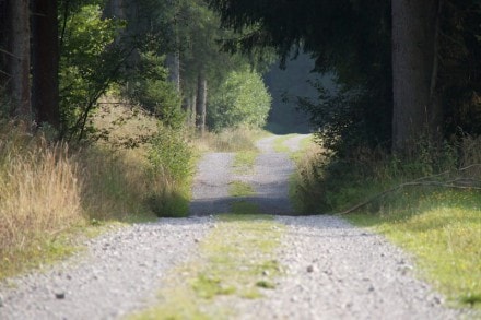 Oberallgäu:  (Betzigau)