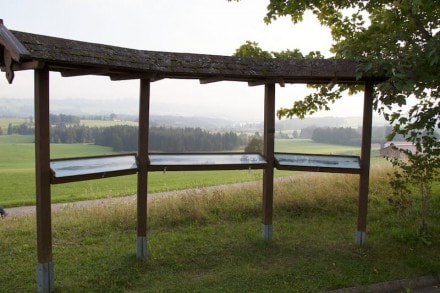 Oberallgäu: Bodelsberg (Betzigau)