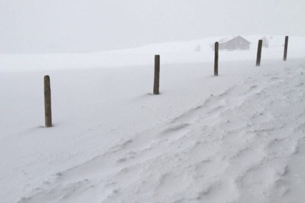 Oberallgäu: Siedle Alpe (Immenstadt)