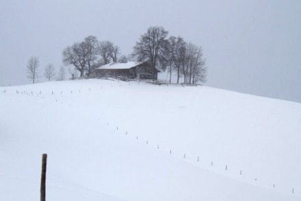 Oberallgäu: Pfarr-Alpe (Immenstadt)