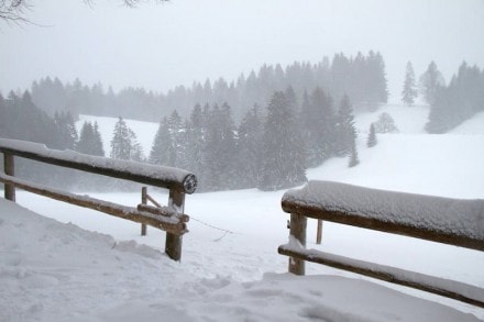 Oberallgäu: Vom Schlettermoos Parkplatz zur Pfarr-Alpe (Immenstadt)