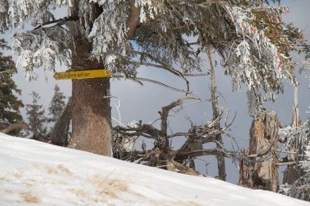 Tannheimer Tal: Rehbichl (Zöblen)