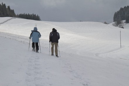 Oberallgäu: Blender Höhenweg um Wiggensbach herum (Wiggensbach)