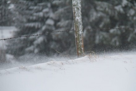 Oberallgäu: Blender Höhenweg bei Wiggensbach (Wiggensbach)