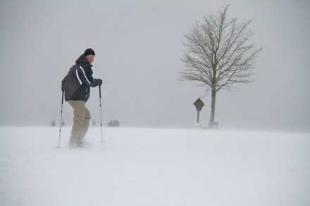 Oberallgäu: Blender Höhenweg (Wiggensbach)